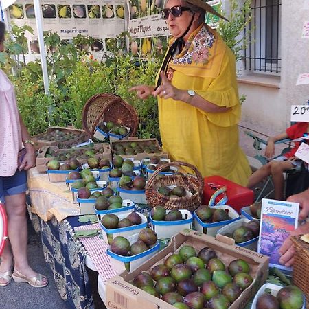 Appartement Charmant En Provence دْراجينْيا المظهر الخارجي الصورة