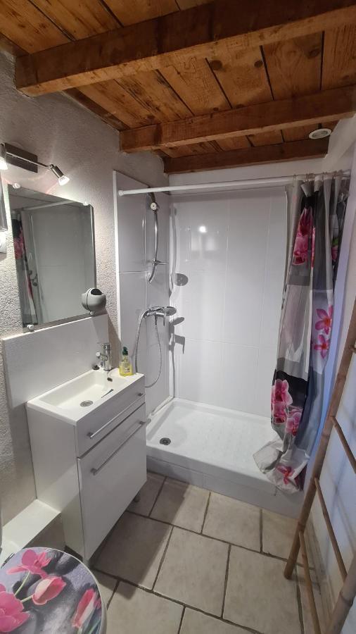 Appartement Charmant En Provence دْراجينْيا المظهر الخارجي الصورة
